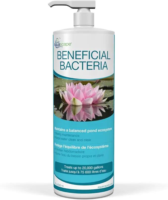 Aquascape Liquid Beneficial Bacteria for Pond and Water Features, 32-Ounce Bottle | 98888 by GreenHaven Gardens