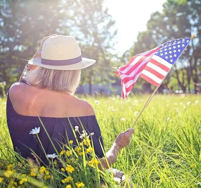24 Pcs 12x18 Inch American Flags on Stick, American Flags, USA Stick Flag with Handheld and Grounded Multi-Purpose Flagpole, Design for Memorial Day, 4th of July, Veterans Day, Outside decorations by GreenHaven Gardens