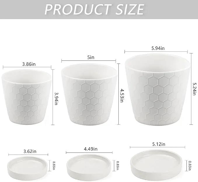 Ceramic Plant Pots,4+5+6 Inch Pots for Indoor Plants,Planters with Drainage Holes and Ceramic Tray, Indoor Flower Pots Gardening Home Desktop Office Windowsill Decoration Gift,Set of 3 (White) by GreenHaven Gardens