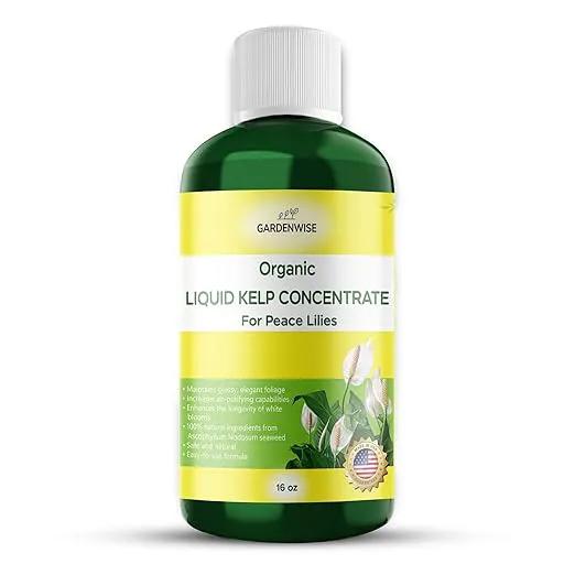 Organic Premium Kelp Seaweed Fertilizer for Peace Llily - Liquid Plant Food - Nutrient-Rich Soil Enhancer - Natural Plant Food for Spathiphyllum (16 OZ) by GreenHaven Gardens