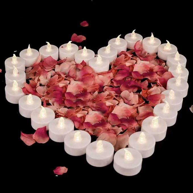 LED Tea Light Remote Control Candle,50pack Flickering Flameless LED Candle,Long Lasting 400+Hours,Battery Operated with Timer for Home Decoration Seasonal &Festival Celebration WarmWhite by GreenHaven Gardens