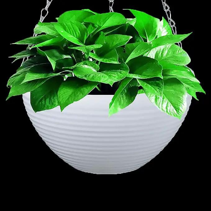 Foraineam Set of 7 Colors Self-Watering Hanging Planter Indoor Outdoor Garden Flower Plant Pot Container with Drainer and Hanging Chain by GreenHaven Gardens