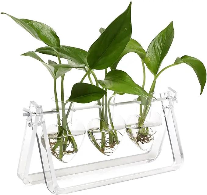 Plant Terrarium Propagation Stations with Acrylic Stand Birthday Gifts for Women Plant Stand Indoor Office Home Decor by GreenHaven Gardens