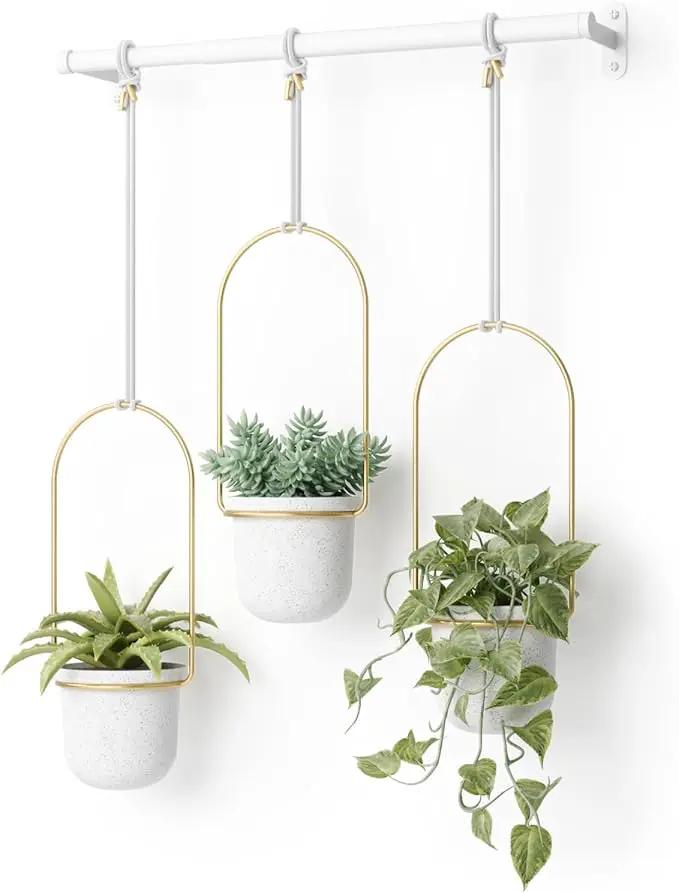 Umbra Triflora Hanging Planter for Window, Indoor Herb Garden, Set of 3, White/Brass by GreenHaven Gardens