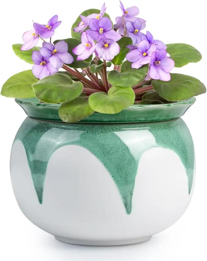 African Violet Pots, 6 inch Ceramic Easy Self Watering Plant Pot for Busy Plant Lovers, Automatically Absorb Appropriate Amount of Water, Flower Pot Indoor-Plants Not Included(Green) by GreenHaven Gardens
