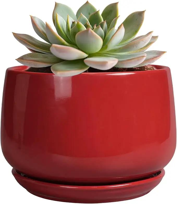 G EPGardening Ceramic Pot for Plants - 6 Inch Plant Pot with Drainage and Ceramic Tray, Modern Living Room Decor, Planter for Housewarming Gifts New Home, Red by GreenHaven Gardens