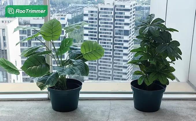 DAPERCI RooTrimmer 8 inches Nursery Pot Plant Grow Sturdy Flower pots in Bulk Price 20P by GreenHaven Gardens