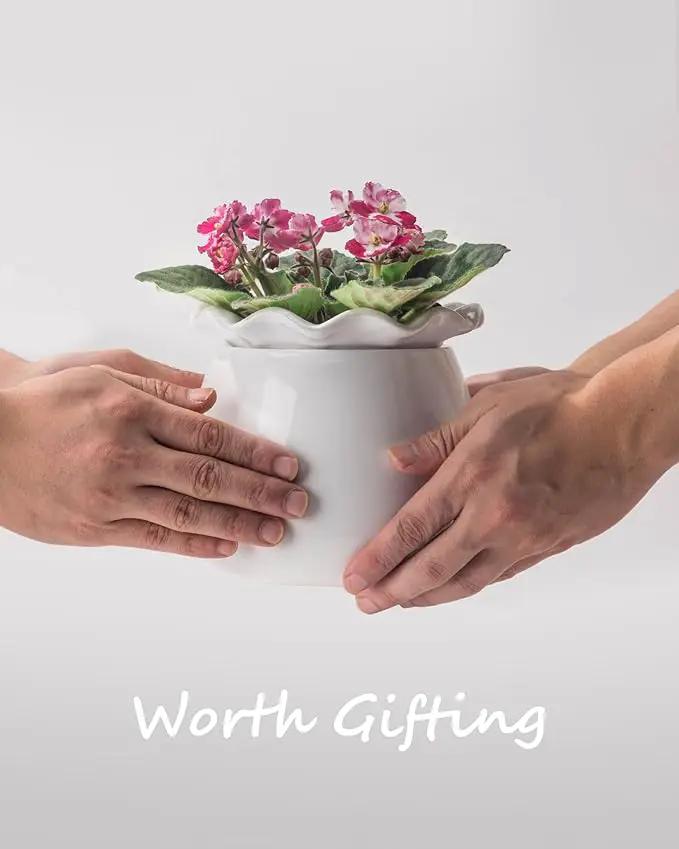 Self Watering Plant Pot, 6 Inch African Violet Pots Maintenance, Ceramic Self-Watering Planter for Indoor Plants - Ideal Flower Pot for Thriving Indoor Gardens by GreenHaven Gardens