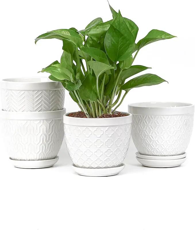 Sureasy Ceramic Indoor Plant Pots - 5.6 Inch Flower Pots for Plants with Drainage Hole and Saucer, Embossed Planter for Succulents, Orchid, Cactus, Indoor Home Decor, Set of 4, White by GreenHaven Gardens
