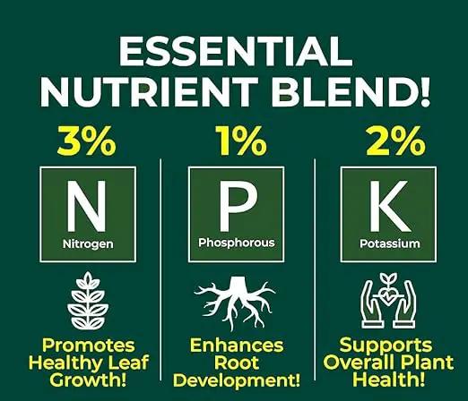 Premium Liquid Olive Tree Plant Fertilizer - 3-1-2 Concentrate for Indoor Plants and Flowers by Gardenera | Organic Plant Food for Olive Trees - 8oz by GreenHaven Gardens