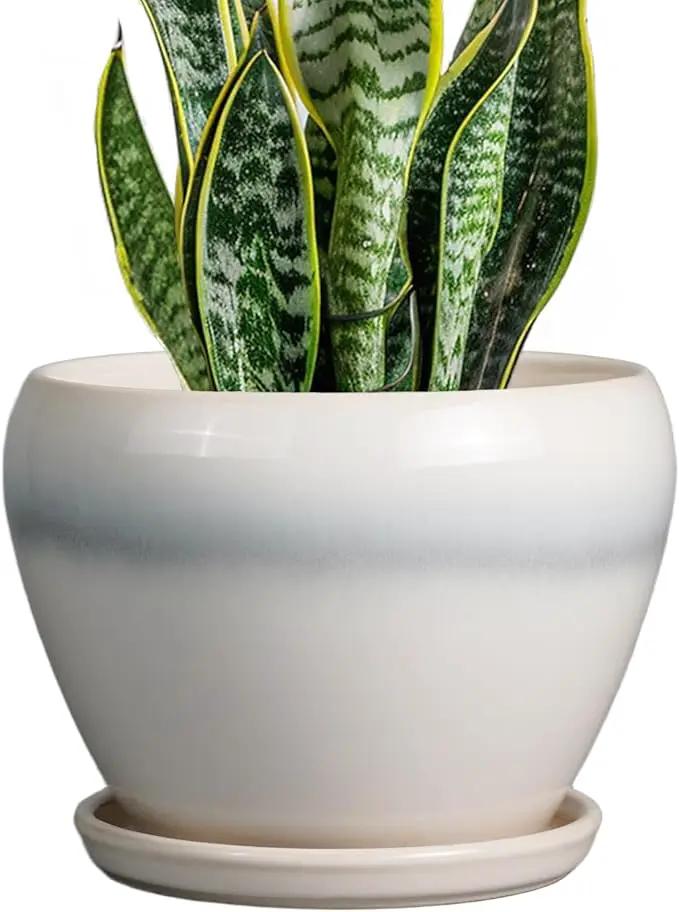 Ceramic Planter - 8 Inch Plant Pot with Drainage Hole and Saucer, Glaze Round Flower Pot for Home Garden Patio Office, White by GreenHaven Gardens