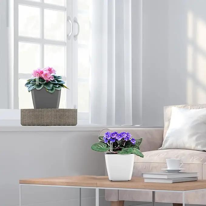 Self Watering Planters for Indoor Plants : 5 inch 6 Pack Grey Planter with Water Level Indicator African Violet Self Watering Flower Pot for Herb Pot House Plant Planting by GreenHaven Gardens