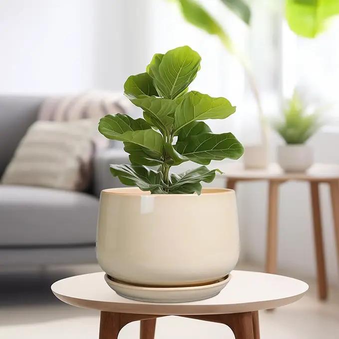G EPGardening Ceramic Plant Pots - 9 Inch Round Planter, Ceramic Flower Pots with Drainage and Saucer, Modern Indoor Outdoor Planter, Room Decor, Home Gifts, Beige by GreenHaven Gardens