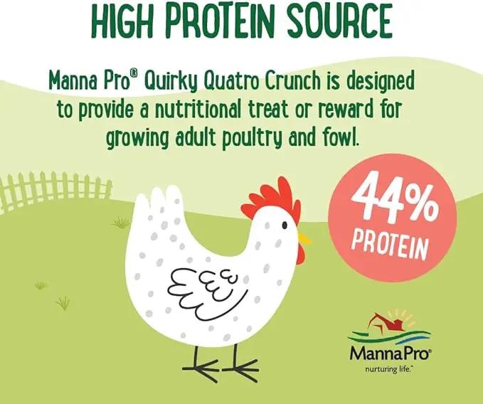 Manna Pro Farmhouse Favorites Quirky Quatro Crunch – 100% Natural Protein Treat for Mixed Flocks – Blend of Black Solider Fly Larvae, Mealworms, Beetles & Shrimp – 2lb by GreenHaven Gardens