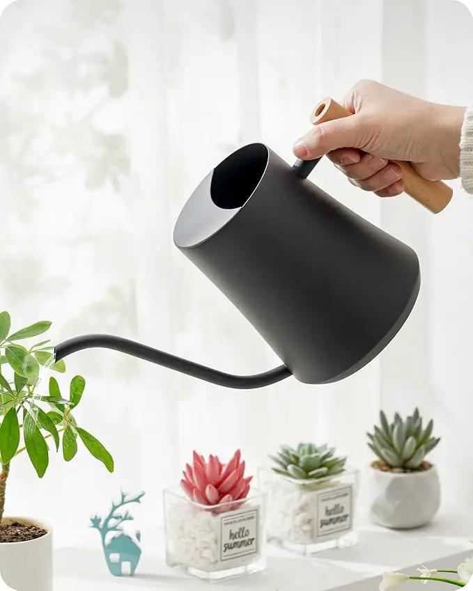 Baffect Indoor Watering Can, 1L/34OZ Metal Houseplant Watering Can with Wooden Handle, Curved Design Watering Can with Long Spout for Small Potted Plants (Black) by GreenHaven Gardens