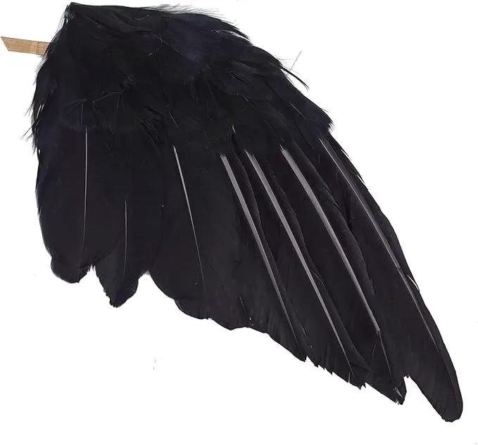 2-Pack Realistic Crows Lifesize Extra Large Handmade Black Feathered Crow for Halloween Decorations Birds, L (13 inch+12 inch) by GreenHaven Gardens