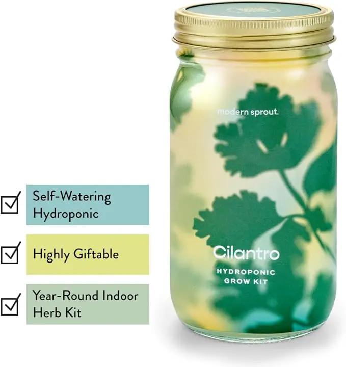 Modern Sprout Mason Garden Jar - Self-Watering Hydroponics Growing System Kit with Organic Herb Seeds - Jar Planter for Indoor Herb Garden - Seed Starter Kit - Home Decor & Gifting - Basil+Cilantro by GreenHaven Gardens