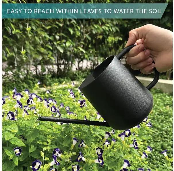Metal Watering Can for Indoor Houseplants Outdoor Garden Long Sprout Water Can for Succulents Herb Bonsai Modern Garden Tool 33.8oz/1000ml (Dashing Black) by GreenHaven Gardens