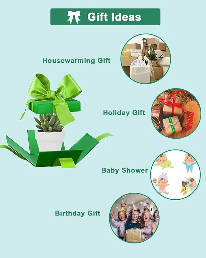 vensovo 48 Pcs 2" Tiny Ceramic Plant Pots with Drainage Hole - White Small Mini Ceramic Pottery Planter Ideal for Indoor/Outdoor Plants, Crafts, Wedding Favors by GreenHaven Gardens