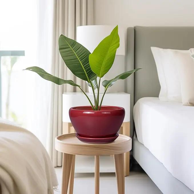Ceramic Plant Pot 9 Inch - Planter Pot with Drainage Hole and Saucer, Round Large Planter for Indoor Plants, Outdoor Flower Pot for House Patio Decor, Red by GreenHaven Gardens