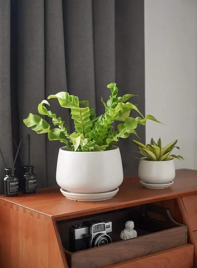 LE TAUCI Ceramic Plant Pots, 4.1+5.1+6.5 inch, Set of 3, Planters with Drainage Hole and Saucer, Indoor Flower Pot with Hole Mesh Pad, Gifts for Mom, White by GreenHaven Gardens