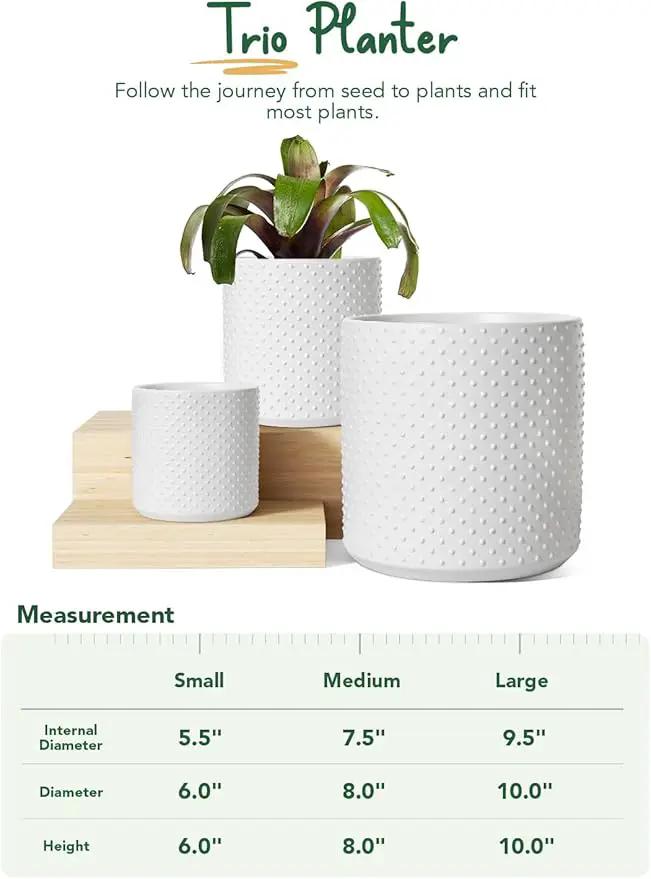 LE TAUCI 6+8+10 Inch Plant Pots Indoor, Ceramic Planter Pots for Plants, Raised Dots Flower Pots Indoor for Home and Office, Mid-Modern Century Pots Indoor with Drainage Hole and Silicone Plug, White by GreenHaven Gardens