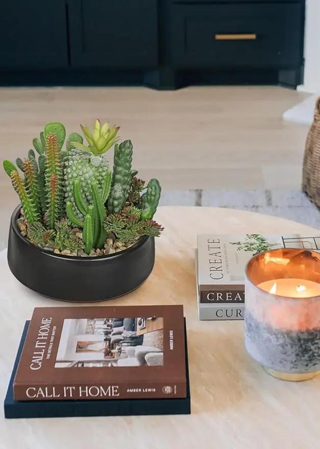 DILATATA Artificial Cactus Plants in Pot 5.5 Inch Fake Succulents Arrangement Potted Plant in Black Ceramic Planter Bowl for Home Office Desk Shelf Living Room Bedroom Bathroom Decor by GreenHaven Gardens