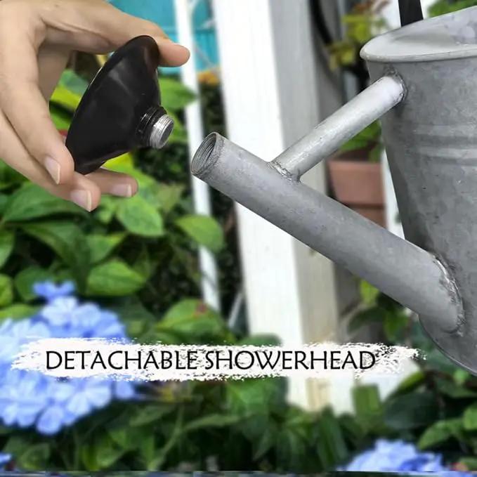 Metal Watering Can, One Gallon Watering Cans Stainless Steel for Outdoor Indoor Garden Plants Watering (Silver 1 Gallon) by GreenHaven Gardens