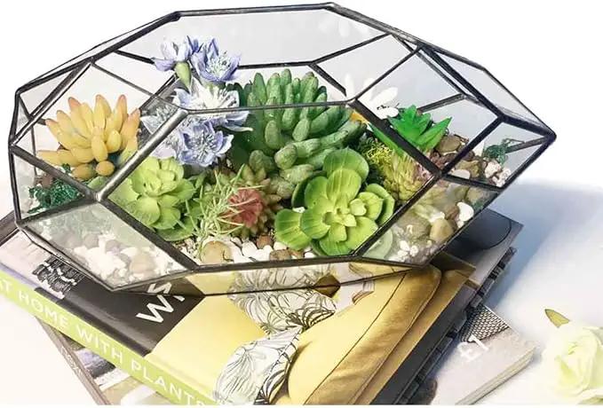 Ferrisland Handmade 10" Large Glass Terrarium Irregular Geometric Planter Indoor Air Plants Holder Window Balcony Display Succulent Flower Pot, Black by GreenHaven Gardens