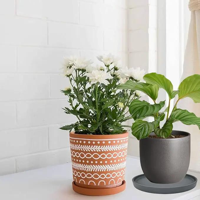 2 Pack Ceramic Plant Saucer Pot Tray 6 Inch, Planter Saucers 4 5 6 7 8 9 10 11 12 13 Inch for Indoors Outdoor, Durable Sturdy Flower Drainage drip Water Tray for Glazed Pots Base (6.4 Inch-Grey) by GreenHaven Gardens
