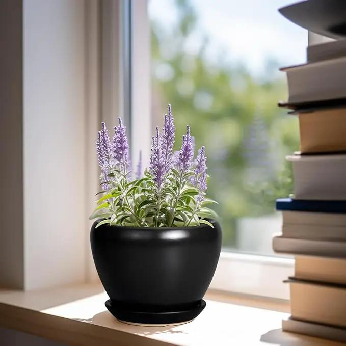 Ceramic Planter Pot - 6 Inch Plant Pot with Drainage Hole and Saucer Round Planter for Indoor Plants Outdoor Succulent Pot Modern Flower Pot for Home Decor Black by GreenHaven Gardens