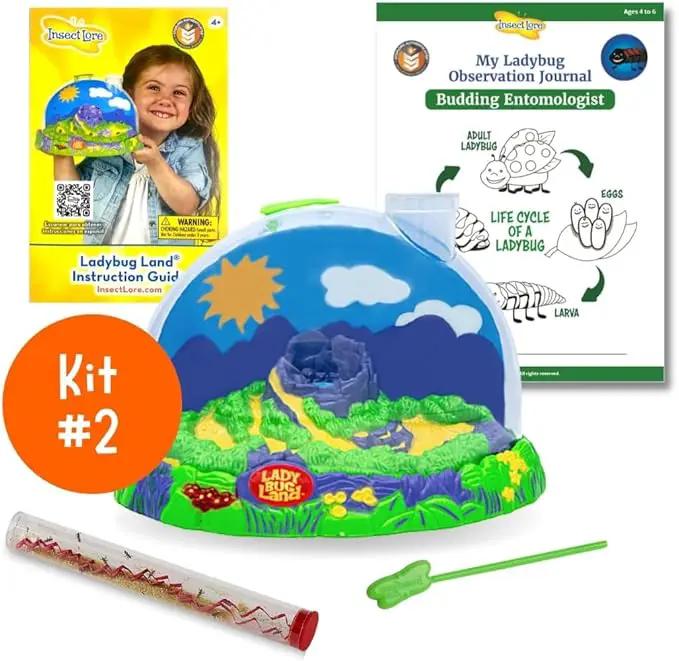 Insect Lore Bug Camp Bundle | Butterfly Kit with 1 Cup Live Caterpillars | Ladybug Land with 1 Tube Live Larvae | Ant Mountain with 1 Tube Live Western Harvester Ants | Life Cycle Figurines & More by GreenHaven Gardens