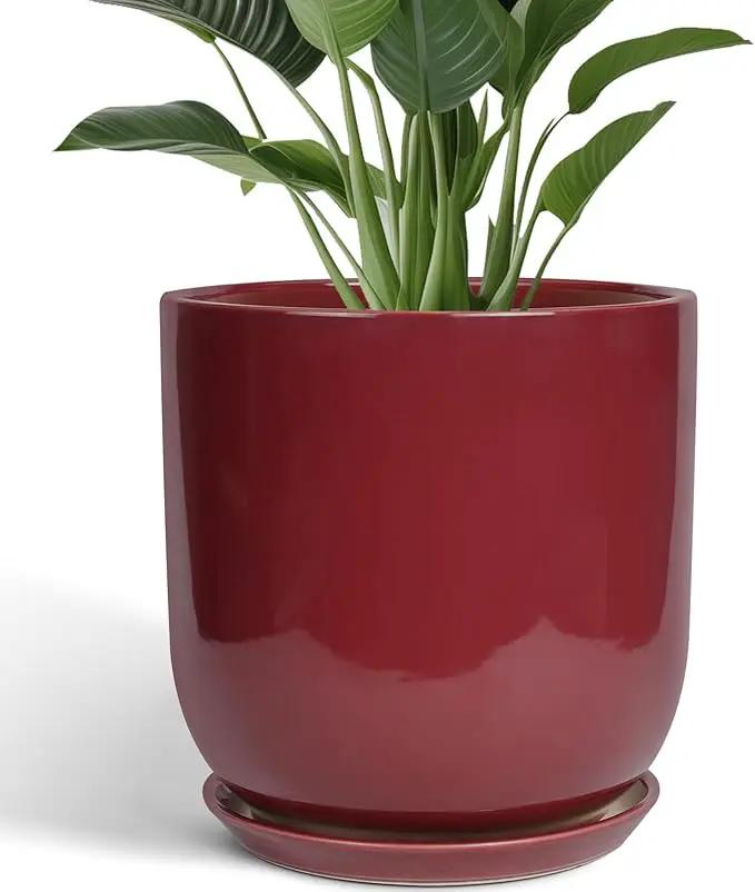 Ceramic Pots for Plants - 12 Inch Plant Pot Indoor with Drainage Hole and Saucer Large Planter Outdoor Flower Pot for Home Patio Office Decor Red by GreenHaven Gardens