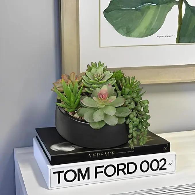 DILATATA Artificial Succulent Plants in Pot 5.5 Inch Fake Succulents Arrangement Potted Plant in Black Ceramic Planter Bowl for Home Office Desk Shelf Living Room Bedroom Bathroom Decor by GreenHaven Gardens