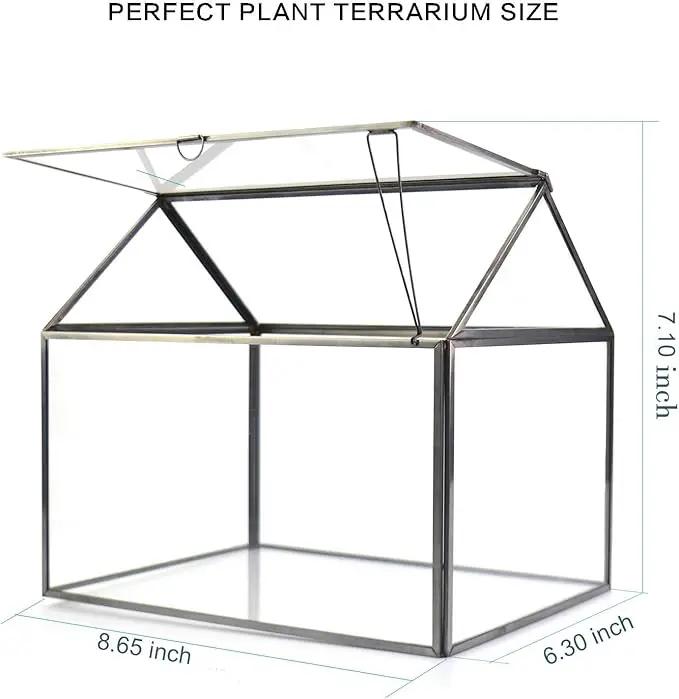 Black 1 Large Glass Plant Terrarium Kit with Lip Greenhouse for Succulents by GreenHaven Gardens