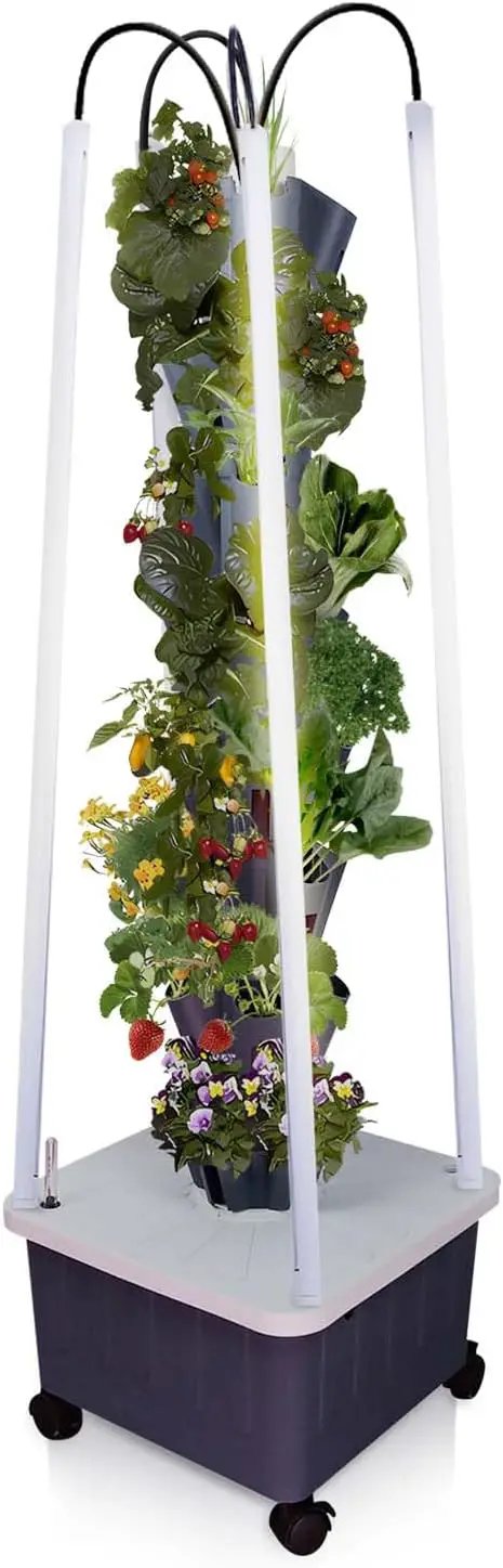 Hydroponic Growing System with Grow Lights, Indoor Gardening System, Grow Plant Food at Home with 40 Pieces at a time for Fruits, Vegetables, Herbs, and Miniature Greens (No Seedlings Included) by GreenHaven Gardens