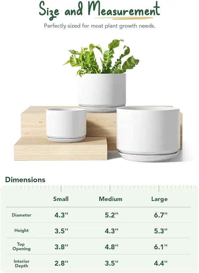 LE TAUCI Ceramic Plant Pots, 4.3+5.3+6.8 inch, Set of 3, Planters with Drainage Hole and Saucer, Indoor Flower Pot with Hole Mesh Pad, Gifts for Mom, White by GreenHaven Gardens