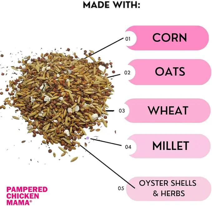 Pampered Chicken Mama Chick Feed - Premium Chicken Scratch Treat - High Protein & Calcium Grower Feed for Laying Hens (10 lbs) by GreenHaven Gardens
