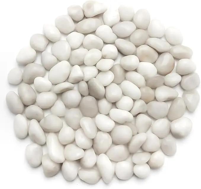 5 Lbs River Rocks for Plants,0.4-1.2 Inch Decorative Ornamental Pebbels, High Polished Stones for Garden Landscaping, Smooth Gravel Filler for Outdoor Plants, Succulents, Fish Tank and Vases, White by GreenHaven Gardens