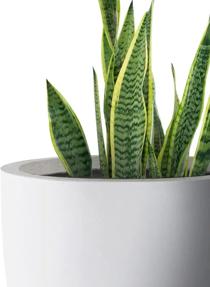 Kante 18 Inch Dia Round Concrete Planter, Indoor Outdoor Large Plant Pot with Drainage Hole and Rubber Plug for Home Patio Garden, Pure White by GreenHaven Gardens