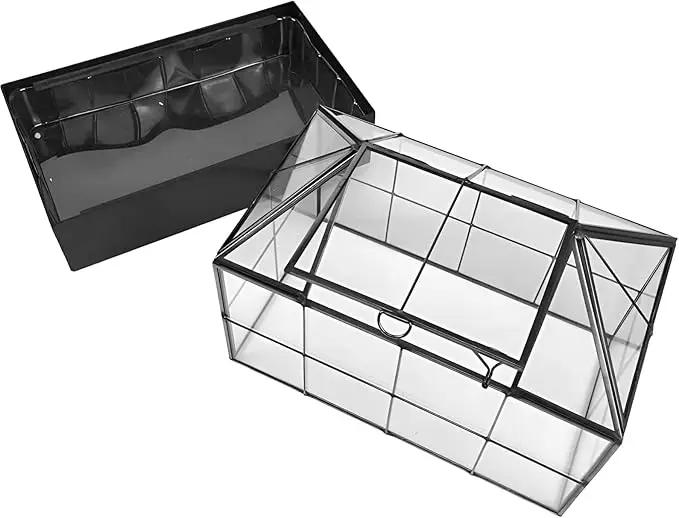 Large Tall Plant Terrarium Glass Greenhouse with Lid and Tray, Indoor Tabletop Orchid Succulent Cacti Kit 9.5'X9.8'X5.6' by GreenHaven Gardens