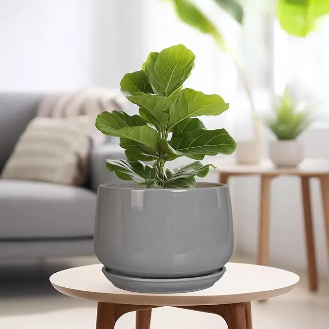 G EPGardening Ceramic Plant Pots - 9 Inch Modern Round Planter with Drainage and Plant Saucer for Indoor Outdoor Flower, Apartment Decor, Birthday Gifts, Grey by GreenHaven Gardens
