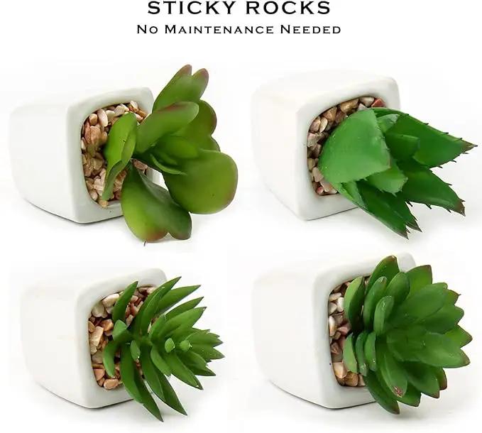 Hollyone Succulents Plants Artificial 4Pcs Small Fake Succulents in Pots Faux Plastic Potted Plants with White Ceramic Pot for Home Decor Office Desk Bathroom Shelf Indoor & Outdoor Decoration by GreenHaven Gardens