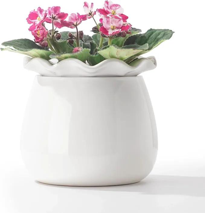 Self Watering Plant Pot, 6 Inch African Violet Pots Maintenance, Ceramic Self-Watering Planter for Indoor Plants - Ideal Flower Pot for Thriving Indoor Gardens by GreenHaven Gardens