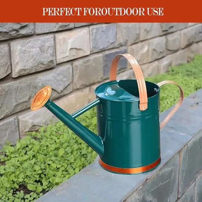 Metal Watering Can, One Gallon Watering Cans Stainless Steel for Outdoor Indoor Garden Plants Watering (One Gallon Green Decorative Strip) by GreenHaven Gardens