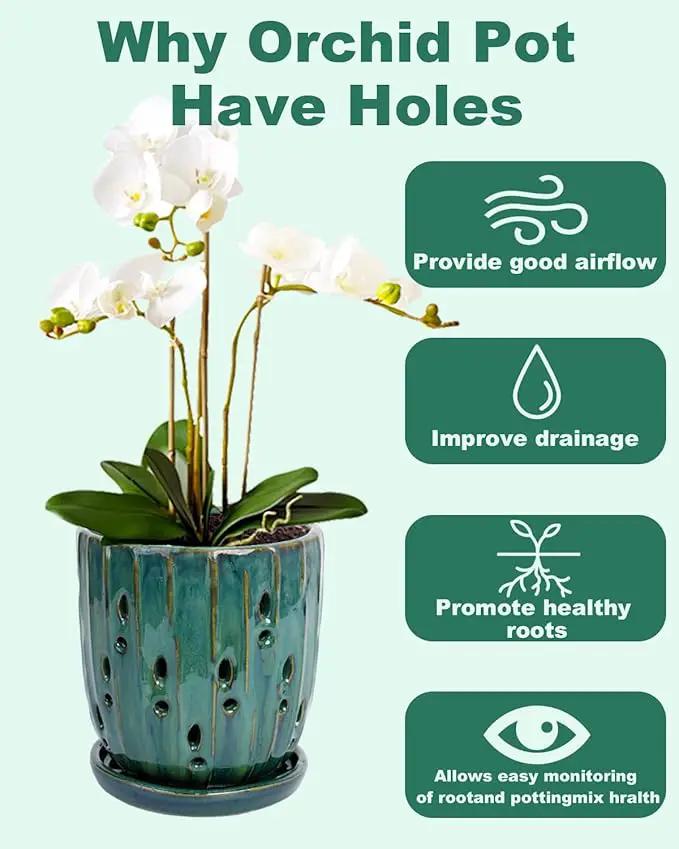 vensovo 6 Inch Ceramic Orchid Pot - Orchid Pot with Holes for Repotting, Ceramic Planter with Saucer for Indoor/Outdoor Plants, Green by GreenHaven Gardens