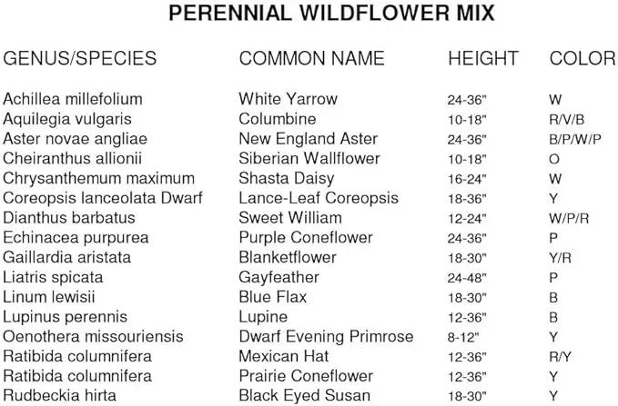 Dirt Goddess Super Seeds~ All Perennial Wildflower Seed Mix (1 LB) 375,000 Seeds by GreenHaven Gardens