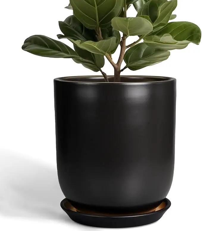 Ceramic Planter 10 Inch - Ceramic Pot for Indoor Plants Outdoor Plant Pot with Drainage Hole and Saucer Cylinder Flower Pot Black by GreenHaven Gardens