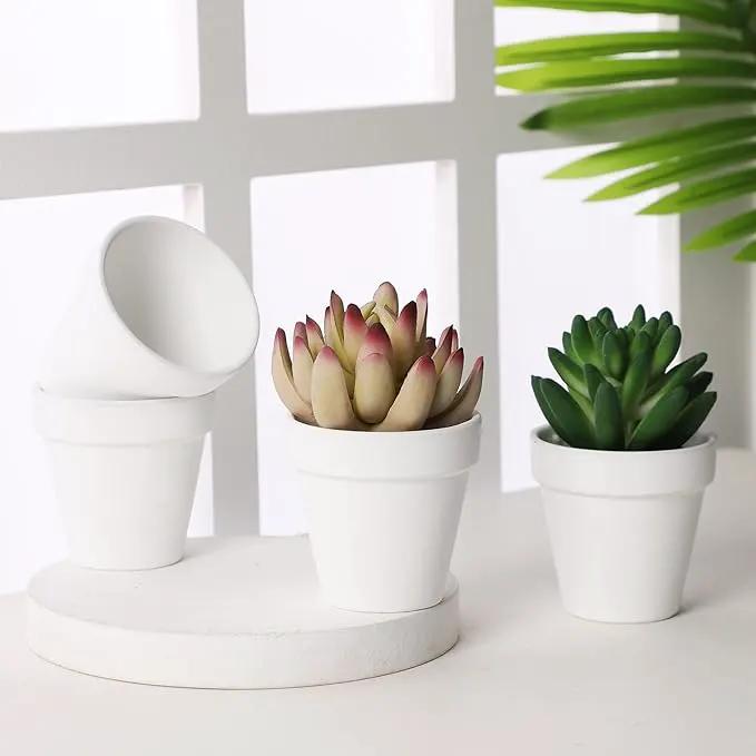 Yishang 36 pcs Small Mini White Clay Pots, 2.5'' Terracotta Pot Clay Ceramic Pottery Planter,Cactus Flower Terra Cotta Pots,Succulents Nursery Pots,with Drainage Hole,Great for Crafts,Wedding Favor by GreenHaven Gardens
