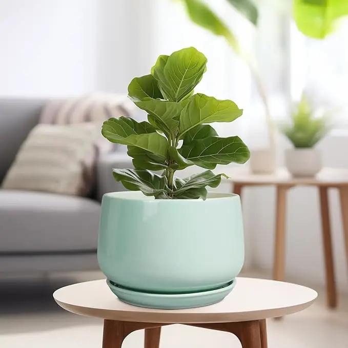 G EPGardening Ceramic Pots for Plants - 9 Inch Ceramic Planter with Drainage and Saucer, Round Planter for Indoor Outdoor Plants, Modern Flower Pots, Garden Decor, Birthday Gifts, Green by GreenHaven Gardens